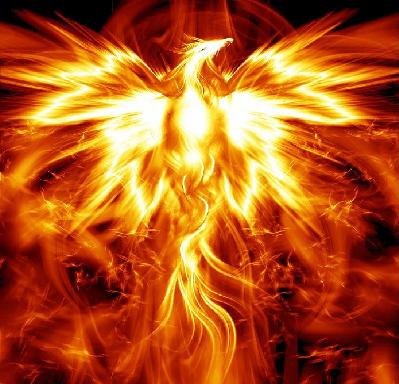 fenix.jpg fenix.jpg